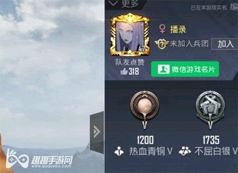 和平精英引擎直装【鹤童】发布：稳定无卡顿，观透与自瞄功能一应俱全